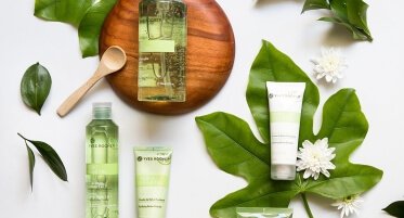 This is Third Post For Themevolty